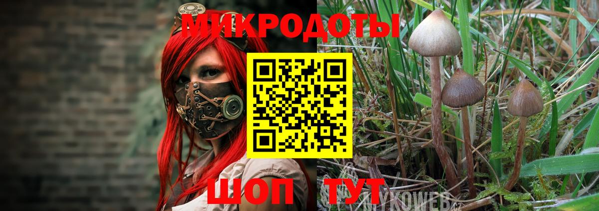 Галлюциногенные грибы Magic Shrooms  Вход с VPN  купить наркотик  Галлюциногенные грибы Psilocybine cubensis  Луховицы 